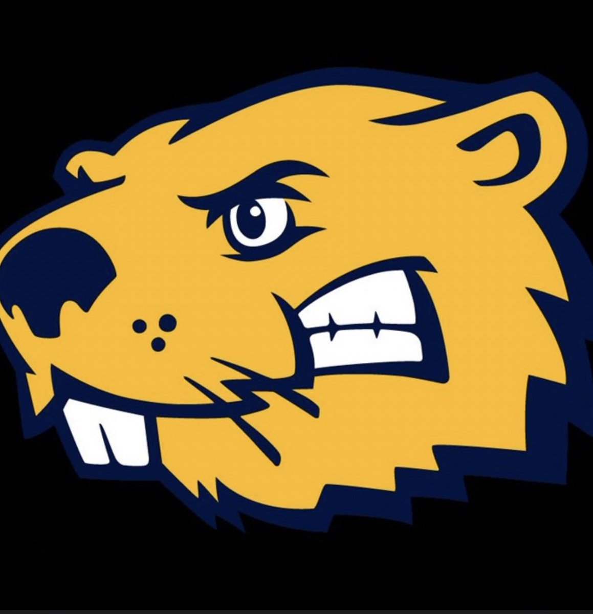 Chase Petersen tweet media