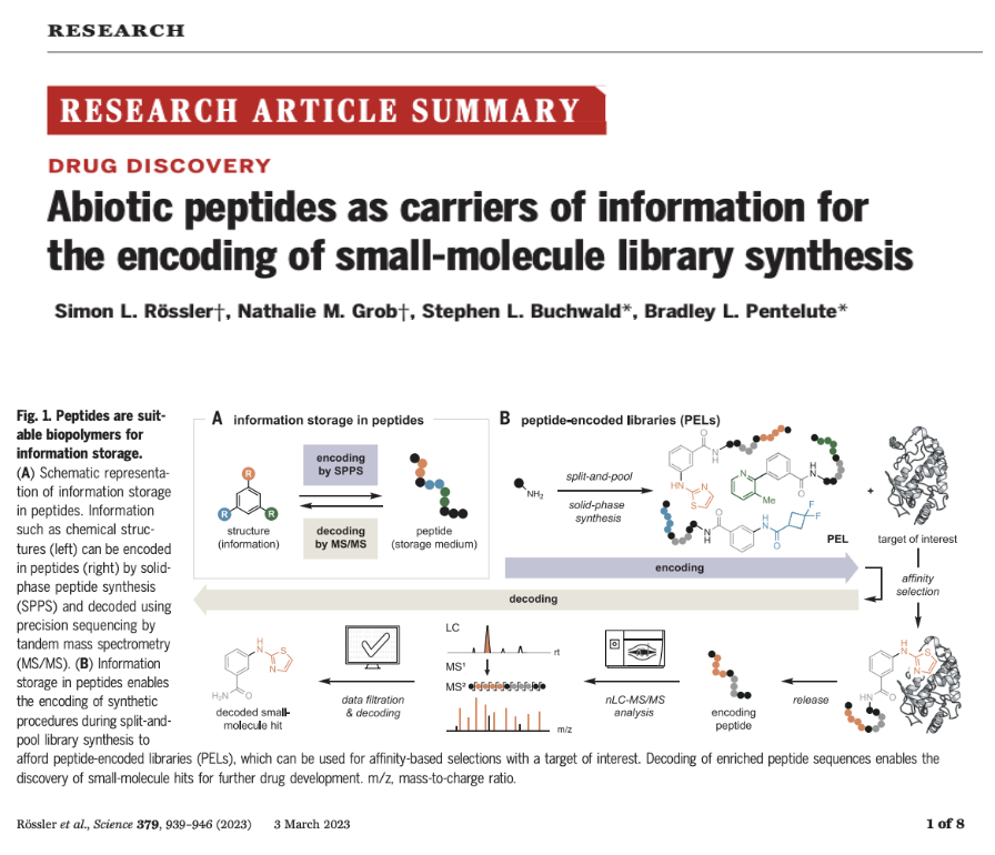 DNA is good for information storage.
Peptides are better.

This <a href="/ScienceMagazine/">Science Magazine</a> article makes a compelling case for peptides encoded small-molecule libraries.

A powerful new approach for drug discovery.