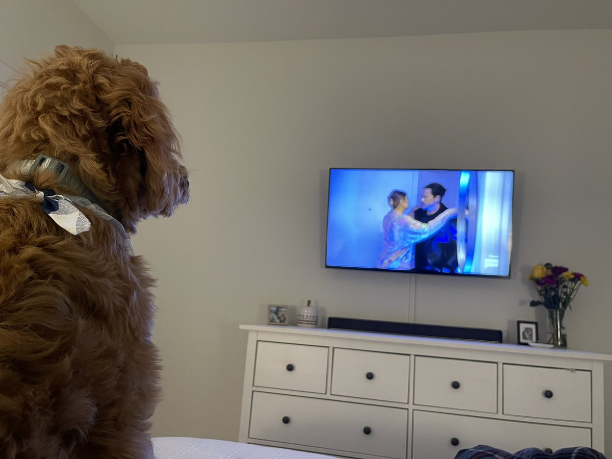 AnjelicePiper's tweet photo. Get you a pup who watches Vanderpump with you #VanderpumpReunion https://t.co/XqrT9AZXyg