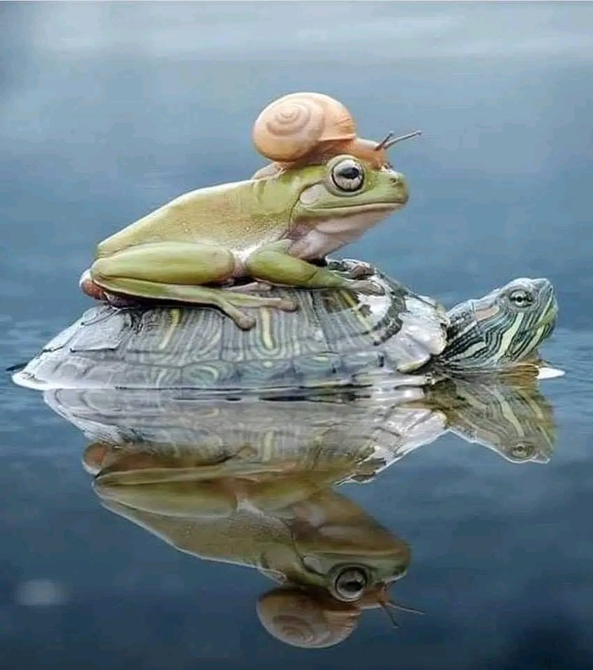 OrgPhysics's tweet image. One of the best photos of the Year!