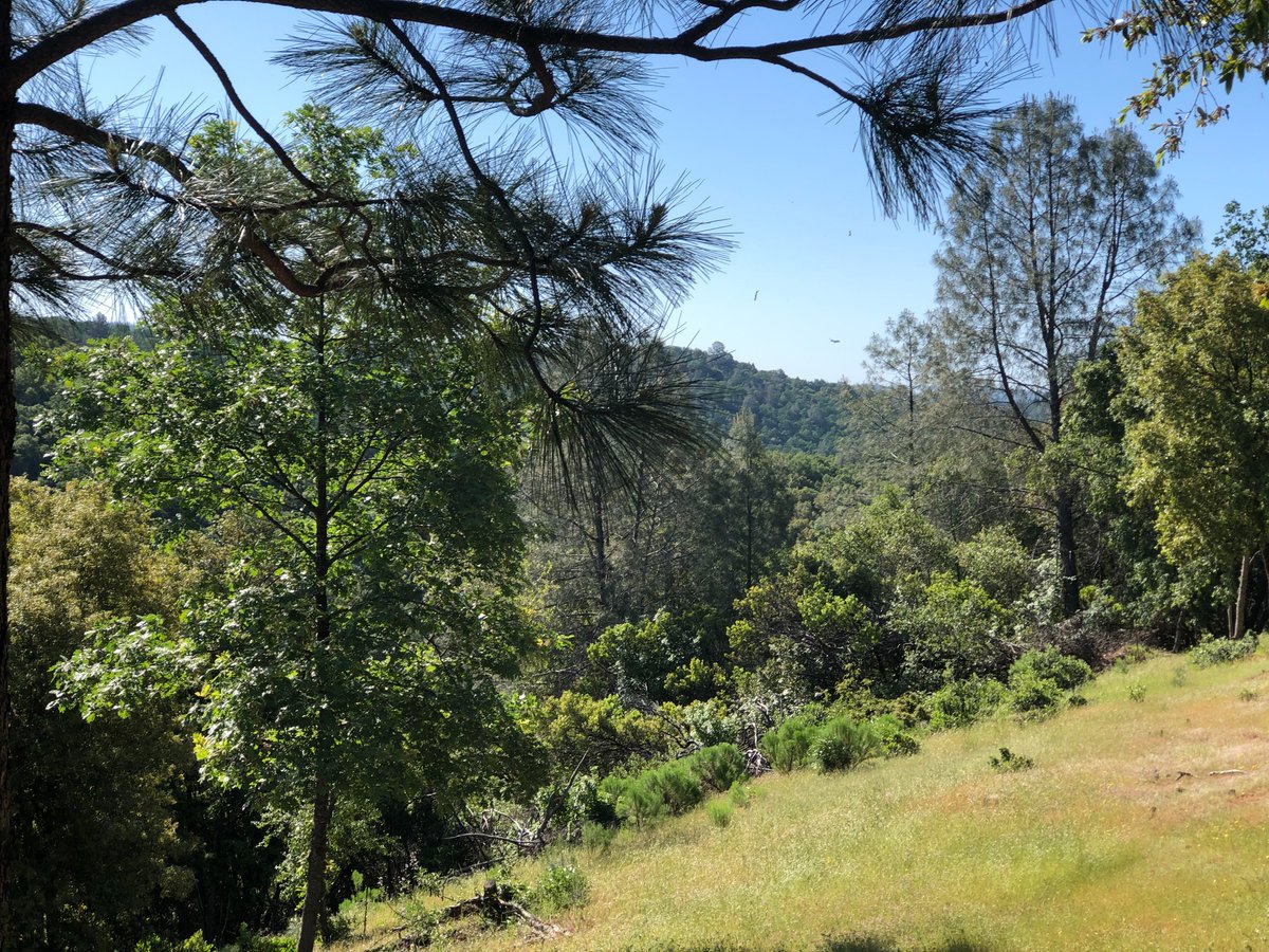 PeifferAppraise's tweet photo. Here are some more photos from the 2 appraisals in #GardenValley earlier today.
https://t.co/3jAcAwJYfT
#appraiser #sacramento #realestate #realtor #agent #folsom #auburn #nevadacity #placerville #auburn #networking #shinglesprings #placer #drive #coloma #sac #rural https://t.co/i6xtYHX13j
