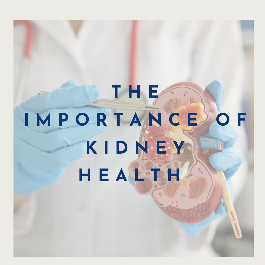 Did you know that our kidneys play a vital role in keeping our bodies healthy? 
They are responsible for removing waste from the body, acid-base balance, and regulate blood pressure 
#kidneyhealth #isns #wellness