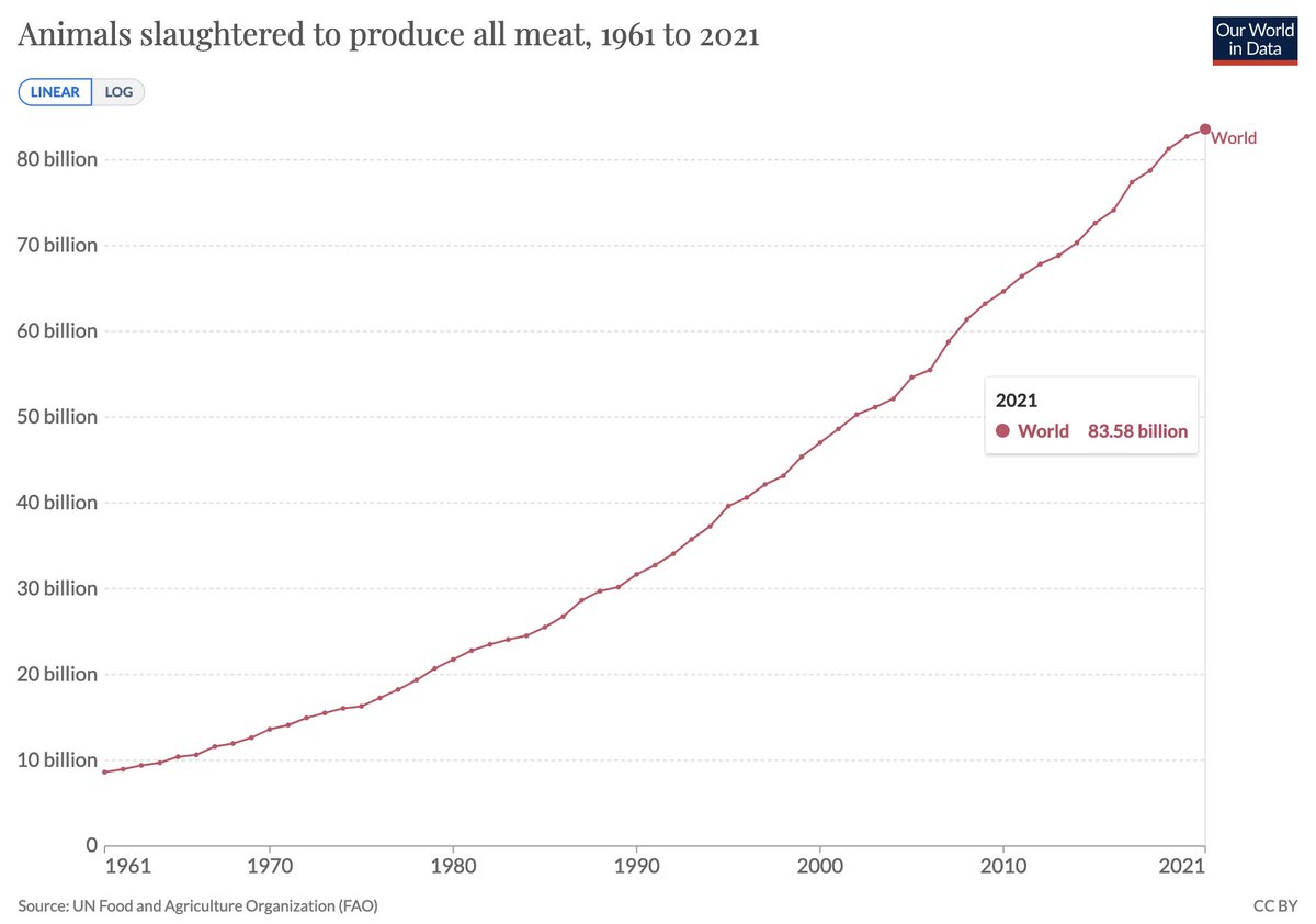 83.5 billion animals were slaugthered in 2021 to produce meat.

That's 229 million every day
160,000 dead animals every minute