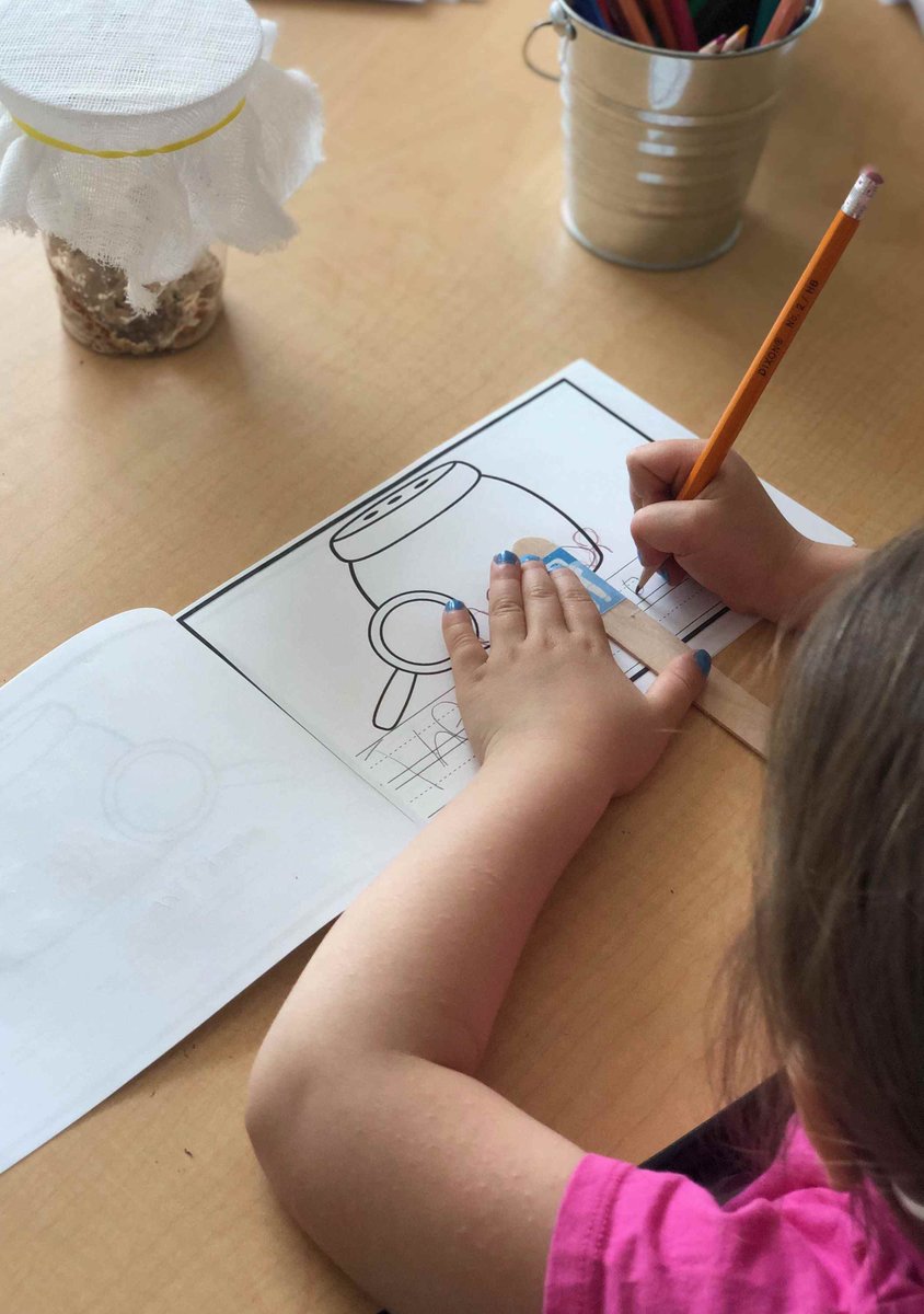 FDK 7 has been having fun watching our caterpillars grow and can't wait to see them transform into butterflies! 🦋 <a href="/ViolaD_HWDSB/">Viola Desmond Elementary School</a> <a href="/HWDSB/">HWDSB</a>