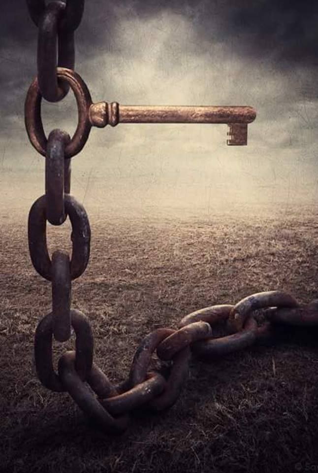 "Vakti Verene, 
           Vaktini Ayır."
#WhatsApp