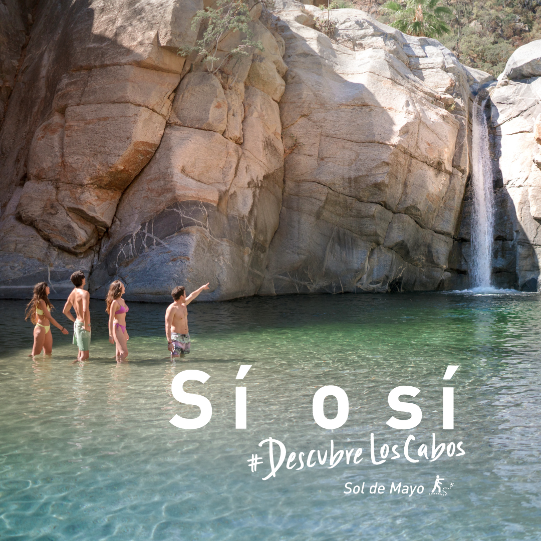 Visita Los Cabos (@VisitaLosCabos) on Twitter photo 2023-05-24 03:00:03 #SabíasQue la Sierra La Laguna es el santuario de reproducción de dos de las especies de colibríes más importantes de México y América Latina, y no solo eso, esconde tesoros impresionantes como esta cascada de 12 metros de alto. #LosCabosSíoSí 🐦 bit.ly/3MB1JI6 #SabíasQue la Sierra La Laguna es el santuario de reproducción de dos de las especies de colibríes más importantes de México y América Latina, y no solo eso, esconde tesoros impresionantes como esta cascada de 12 metros de alto. #LosCabosSíoSí 🐦 bit.ly/3MB1JI6