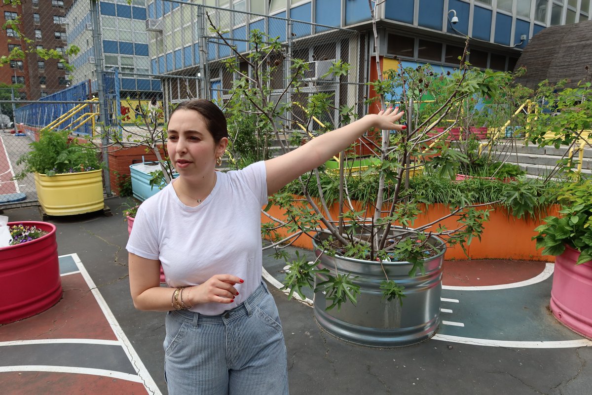 NYC Mayor's Office of Urban Agriculture tweet media