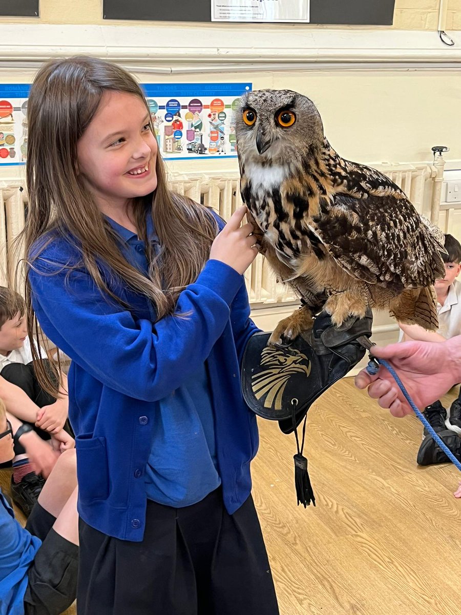 sledwetfed's tweet photo. More fantastic memorable learning in both schools. #learningmore #rememberingmore
@birdofpreyyork https://t.co/iddNaftkjz