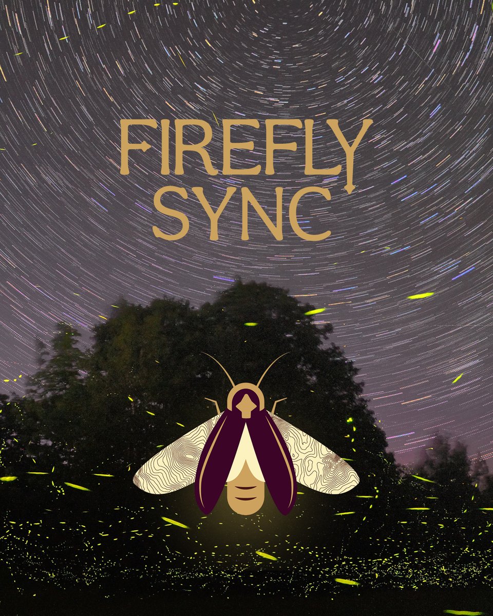 Participate in an evening firefly viewing event in the historical low country. Through its pastures and riverfront views, Middleburg offers a rare opportunity to see the annual firefly synchronization. Visit link.whitewater.org/Firefly to learn more about #FireflySync.