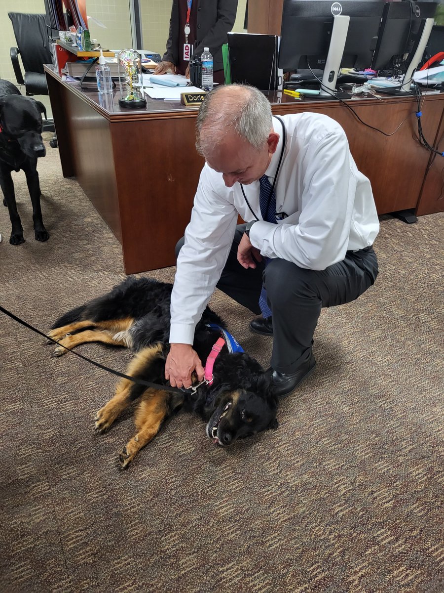 Dulles Airport (IAD) tweet media