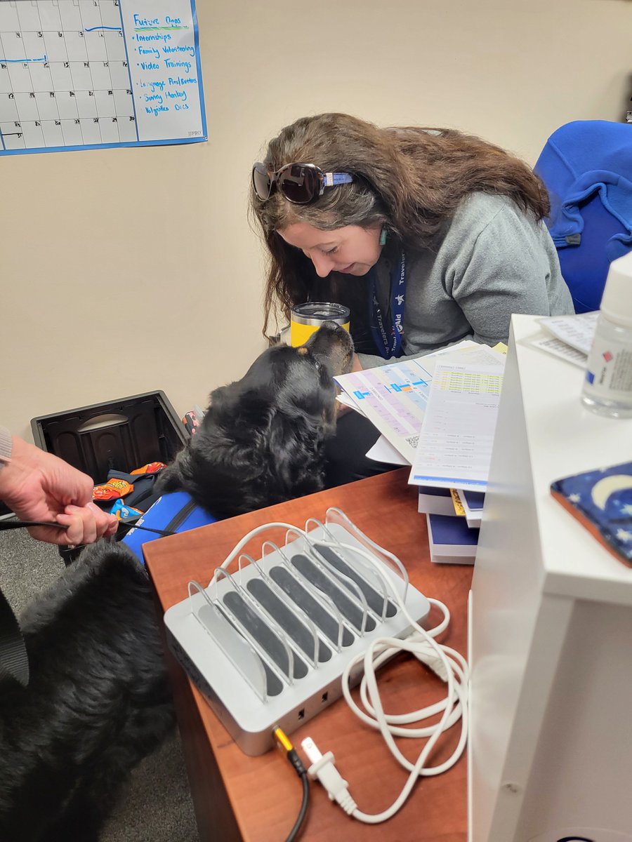 Dulles Airport (IAD) tweet media