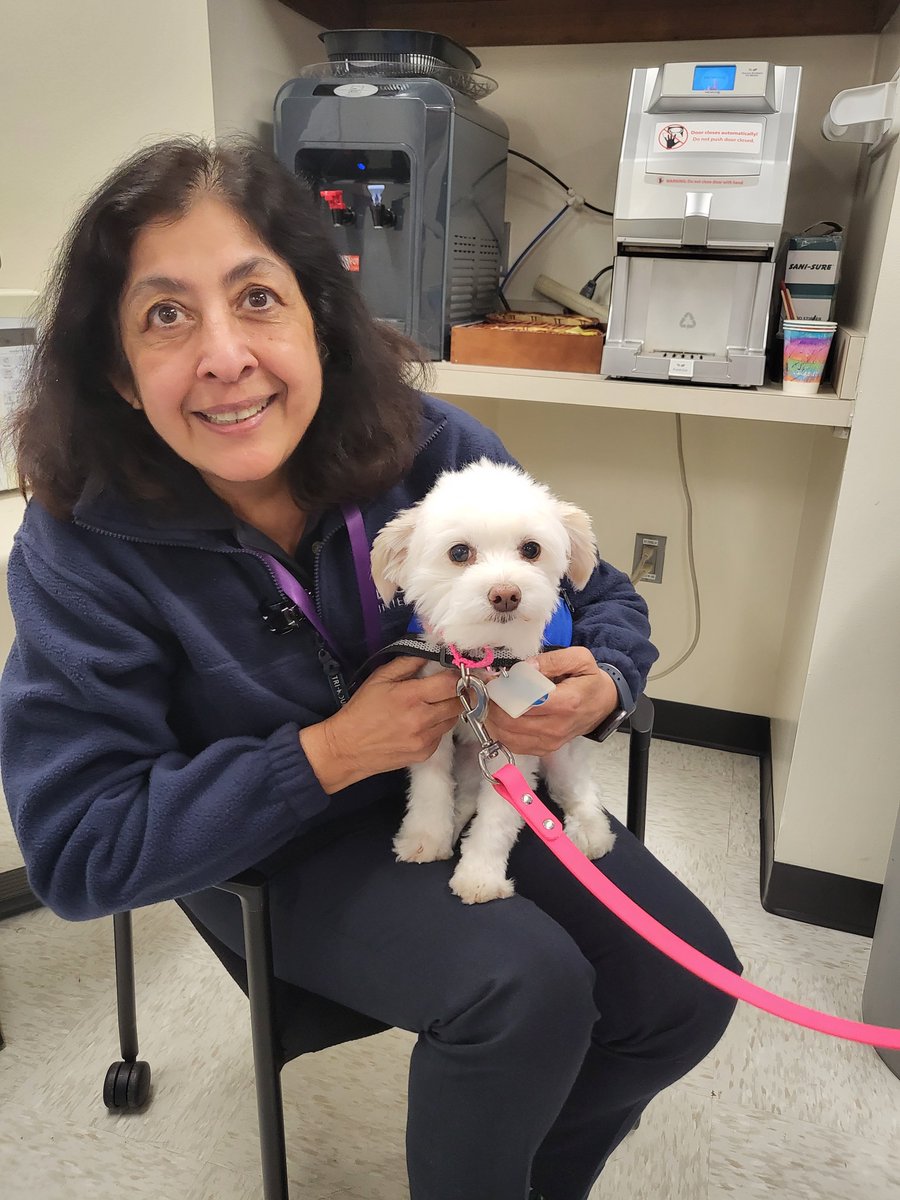 6 very good therapy dogs from <a href="/HeelingHouse/">Heeling House, Inc.</a> stopped by for some snuggles &amp; pets from our employees. They got a full tour with stops in the Airport Managers Office, the Mobile Lounge office, Travelers Aid, Airport Ambassadors, Airport Operations Center, &amp; the Ramp Tower. 😍🐕‍🦺