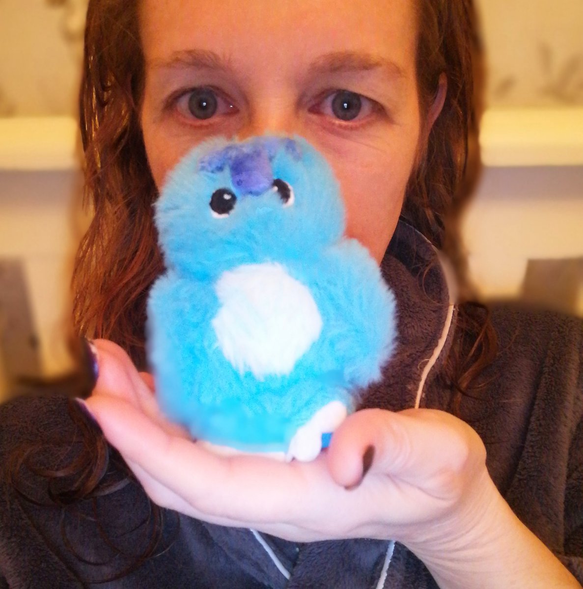 cindy_launspach's tweet photo. @edsheeran @amazonmusic @AmazonMusicUK He's only little but he's so fluffy and soft 💙 #sadbluemonster is my new cuddle buddy even though he's a keyring 💙 https://t.co/4zYr5ZB7Mi