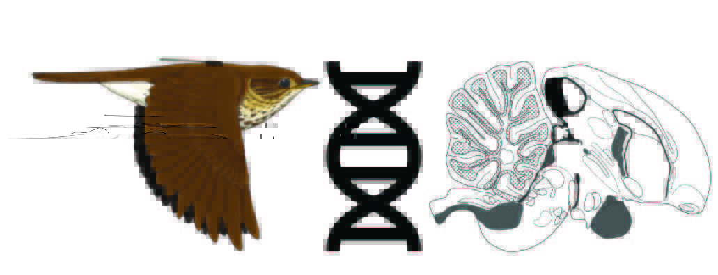 Kira Delmore (@kedelmore) on Twitter photo TWO FULLY FUNDED POSTDOC POSITIONS AVAILABLE. We're looking for people to help us work on #Epigenetics, #StructuralVariants, #Speciation, #Hybridization and #Migration! Click here: delmorelab.com/recruitment. #postdoc #jobopening #genomics #bioinformatics TWO FULLY FUNDED POSTDOC POSITIONS AVAILABLE. We're looking for people to help us work on #Epigenetics, #StructuralVariants, #Speciation, #Hybridization and #Migration! Click here: delmorelab.com/recruitment. #postdoc #jobopening #genomics #bioinformatics