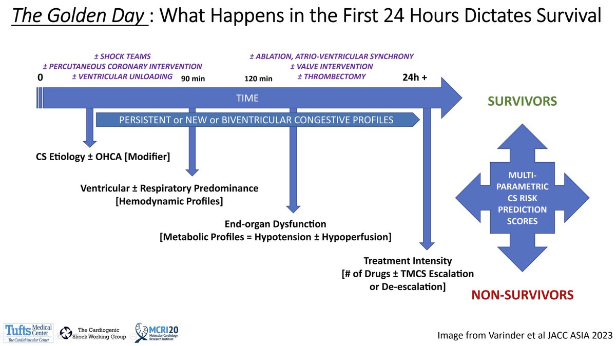 The 2023 #CSWG Global Free & Virtual Summit will host didactics, discussions and debates from KOLs focused on #TheGoldenDay - the first 24 hours of #cardiogenicshock management that can dictate life or death. Register & change the future of shock with us! cardiogenicshocksummit.org