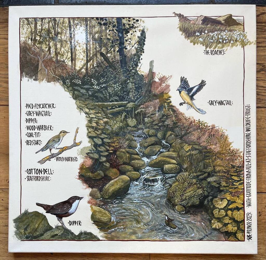 I can show you now- a special commission for @staffswt #cottondell 
It has been very well received ❤️🤗
.
.
.
#commission #dipper 
#lookingforward #folkartist #studioonafarm #peakdistrictnationalpark #staffordshire #derbyshire #haybarngallery #opentovisitors #eggtempera  #egg…