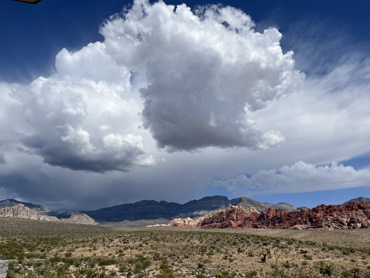 KevinJanison's tweet image. Un-May-like vistas throughout Southern Nevada.  Red Rock looking good!  Now, if only we could get some drops in town.  Wife photo. @KTNV @friendsrrc @RedRockCynLV #JulyInMay