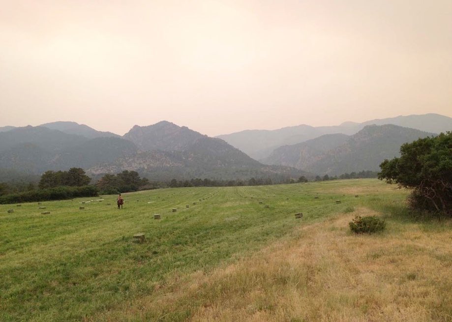 Trips4Trade tweet media