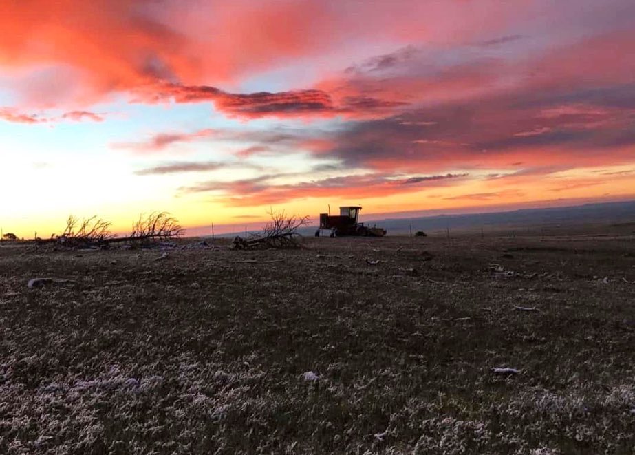 Trips4Trade tweet media