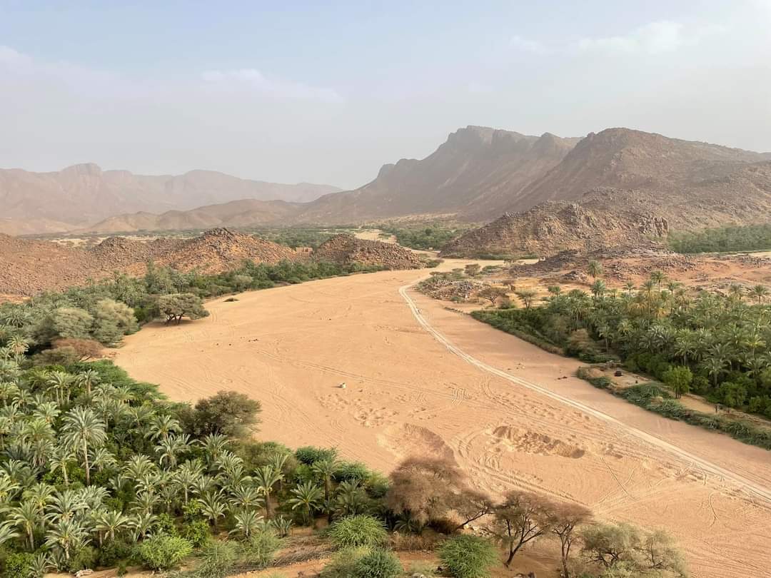 Oasis_de_Timia's tweet photo. @Oasis_de_Timia 🇳🇪🌴
#VisitAïr
#VisitTimia🌴
#VisitAgadez🇳🇪
                   ©📸 @mehdi_rhony https://t.co/ss6RjLdVbR