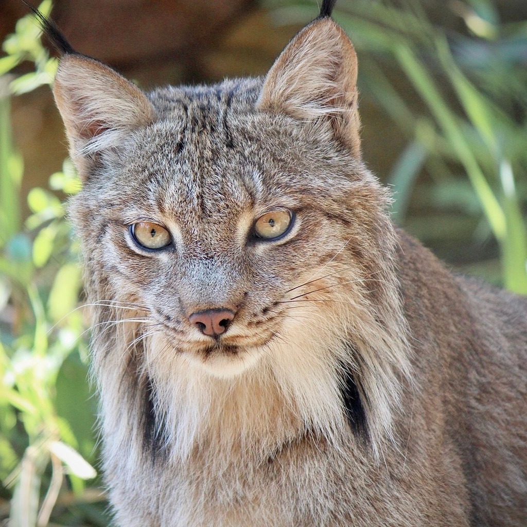 Wheaton Park District tweet media