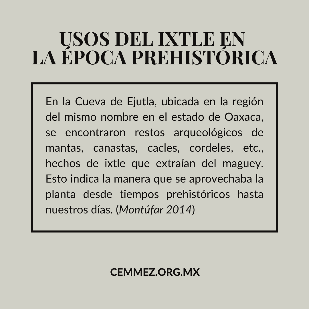 Cemmez_'s tweet photo. Usos del ixtle en la época prehistórica 

#mezcal #maguey #agave #ixtle #culturadelmezcal #destiladosmexicanos #cemmez https://t.co/BE8uwsKQaY