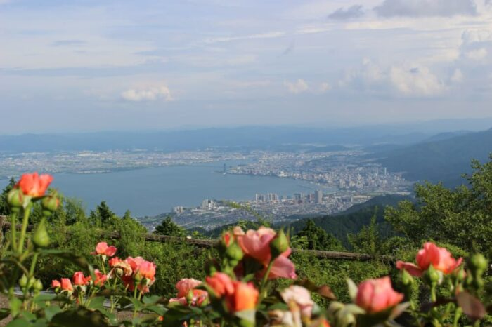 SideKyoto's tweet photo. ＼琵琶湖の絶景とバラ／
標高840m比叡山の上に位置する「ガーデンミュージアム比叡」✨花の見頃は麓よりも1か月ほど遅く、バラの見頃は6月中旬から💓ローズガーデンでは180種のバラが🌹出迎えてくれます♪
https://t.co/mhy8LVsCTW
＃京都　＃京都観光　#琵琶湖 https://t.co/ccSUp3F4Lm