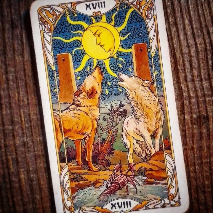alanareadstarot's tweet photo. New moon ahoy, Grounding but time 2 embrace what u have yet get ready to work for the new. Set your goals and comit to making them reality. Fresh starts &amp; new ideas await. Effort = reward. 
 free overview by dm #tarot #TarotReading #tarotreader #newmoon #newmoontarot #Tarotcards https://t.co/wSYQyEGzB0