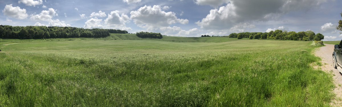 kirby_scott's tweet image. Matterley estate, Hampshire courtesy of the Bruce family. An example of a farm utilising a unique resource. The Matterley bowl is a massive natural amphitheatre, Eisenhower addressed the massed US D day force. Today it hosts 66,000 visitors to the annual @BoomtownFair