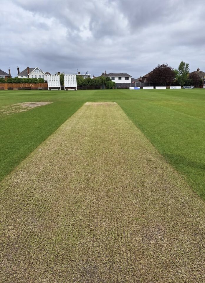 NWPCACricket tweet media