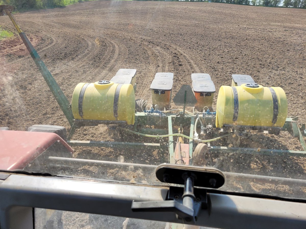 Will Kell tweet media