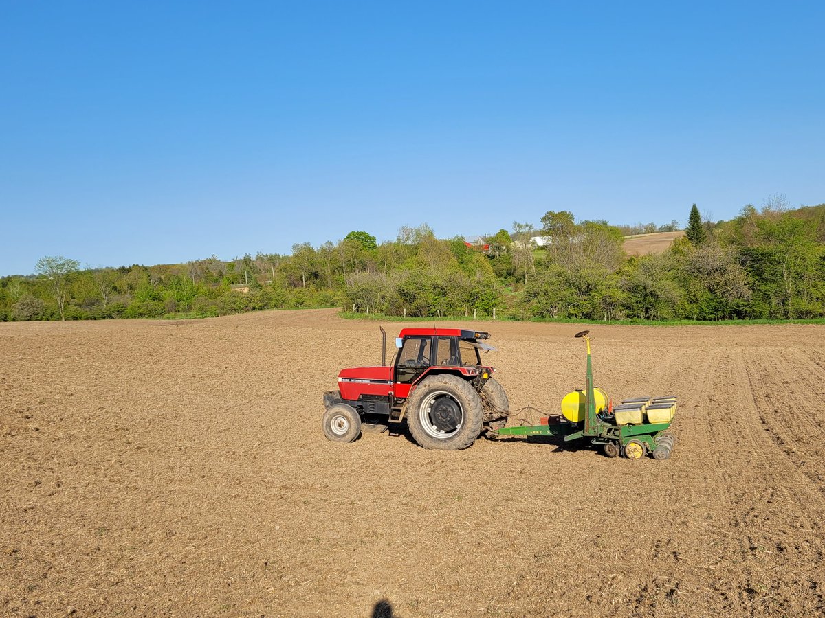 Will Kell tweet media