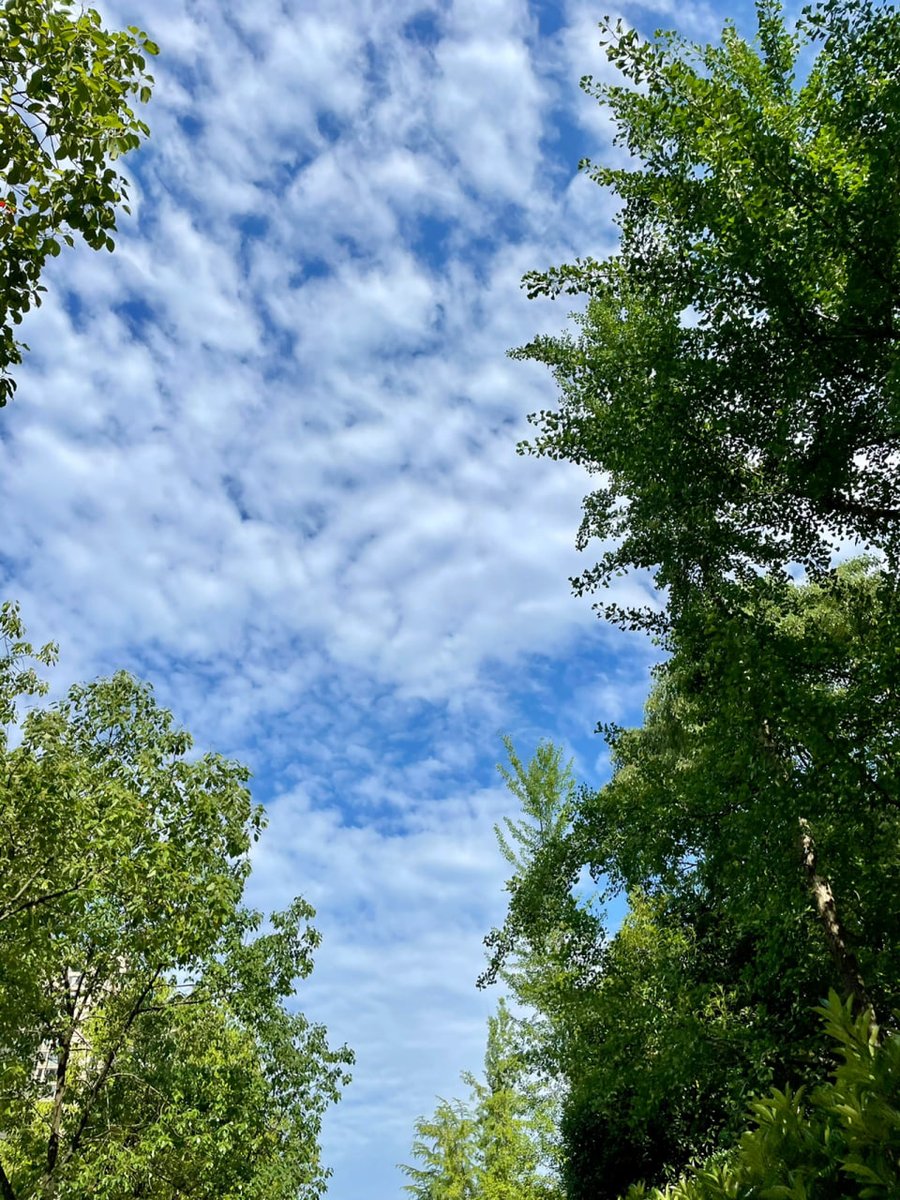 The sunrise awakens the morning, and the earth is radiant and reborn."🥰