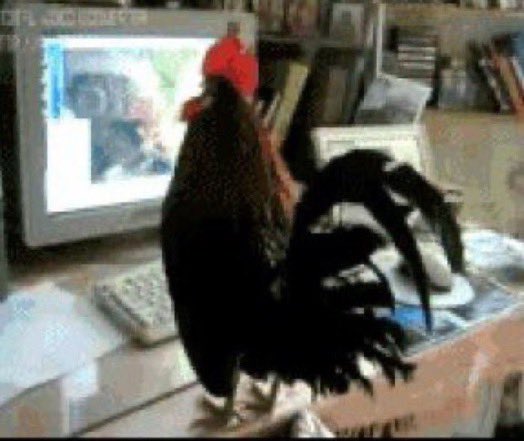 TWICEBACKED's tweet photo. Check out this cock I found while I was shopping today. https://t.co/iD9SNcXuwv
