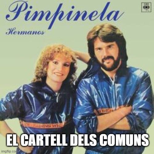 Mems Polítics Rubí tweet media