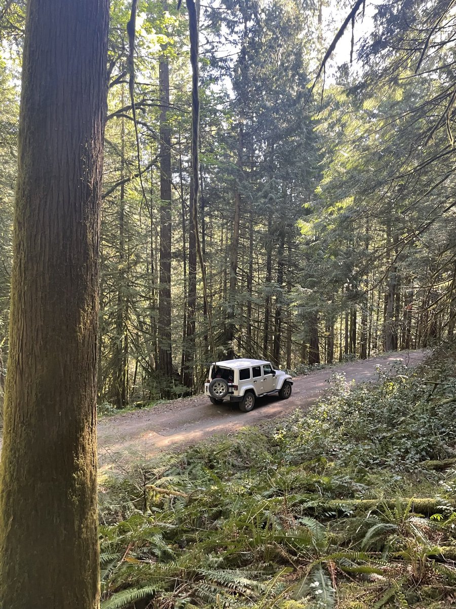 Beautiful morning out in #Sooke doing field work with the <a href="/Jeep/">Jeep</a> 🌲