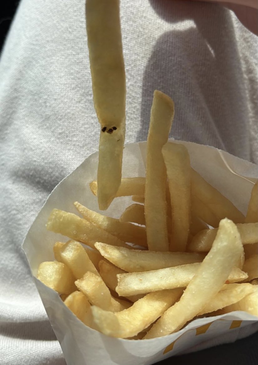 Hay un Chihuahua en las papitas fritas. 🍟