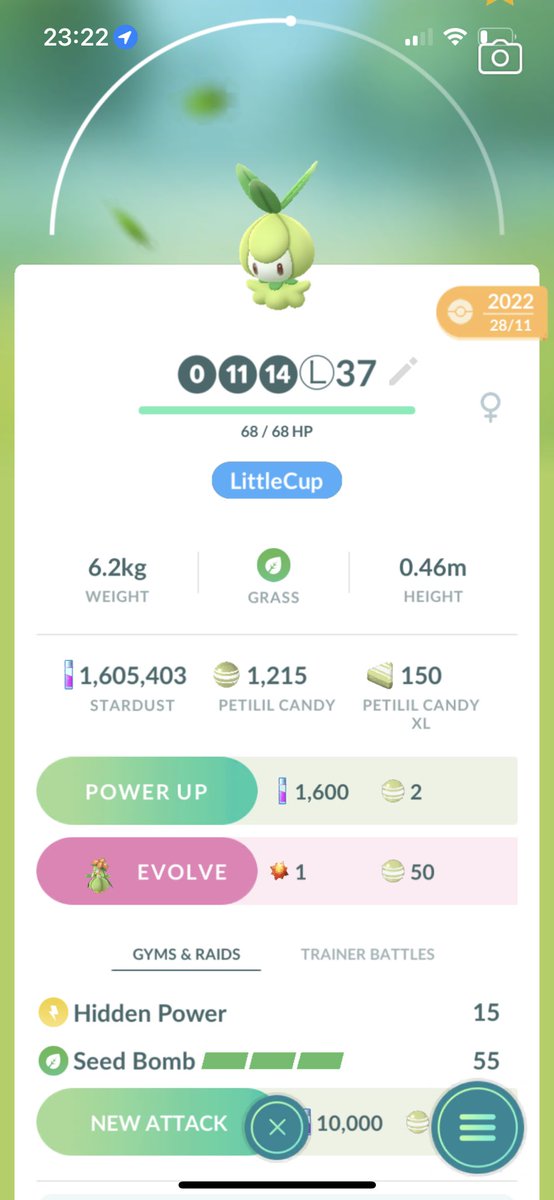 CJohnson1301's tweet image. So tempted to try this out!! It even has the right Hidden Power #PokemonGo #GBL #ElementCup