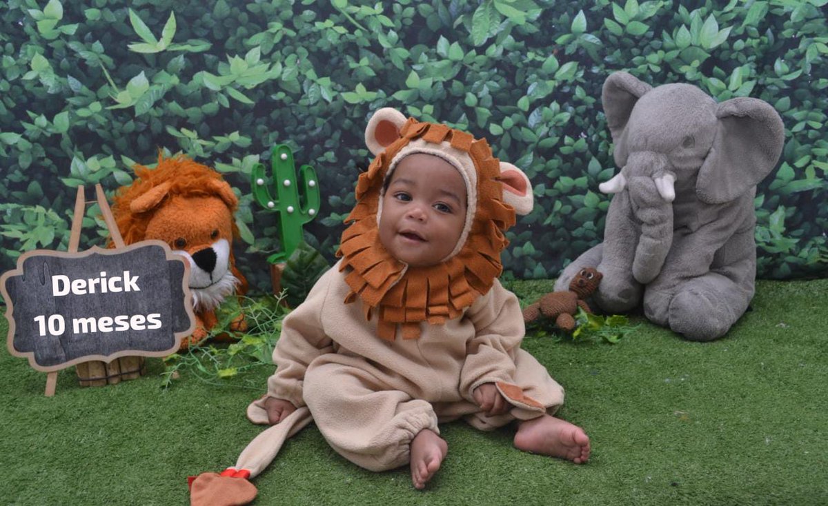 Fabia26041518's tweet photo. 🦁 https://t.co/DE5t6Et0q1