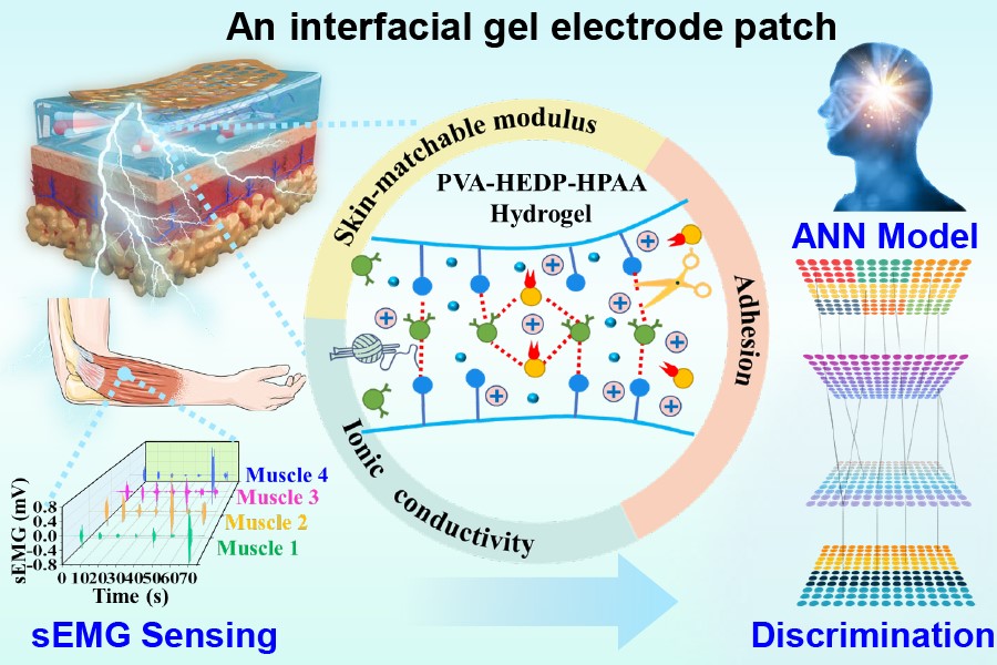 ChineseChemSoc's tweet photo. .@CCSChemistry Article Highlight: An interface gel electrode patch with tunable hydrogen bond network for sensing and discrimination analysis of surface electromyography signals https://t.co/xA7bkoUoV6  

#chemistry #science #scicomm #chemtwitter https://t.co/EZpXY48hxF