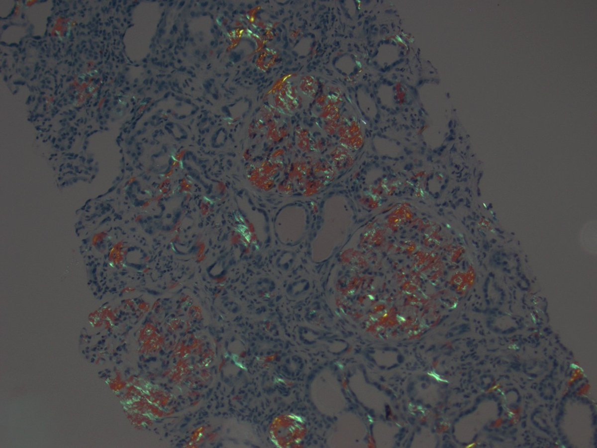 Kuang-Yu Jen, MD, PhD tweet media