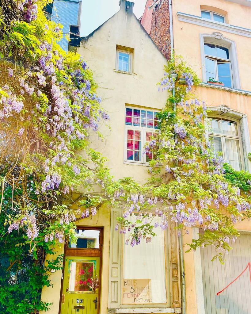 mk_graham's tweet photo. #oneaday #marollen #bruxelles #brussels https://t.co/Cd4FMvqWL2 https://t.co/8qh4xiXrpB