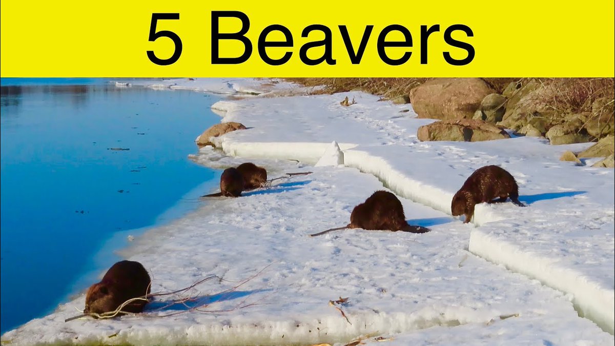 Youtube Thumbnails (@ytthumbnails) on Twitter photo 