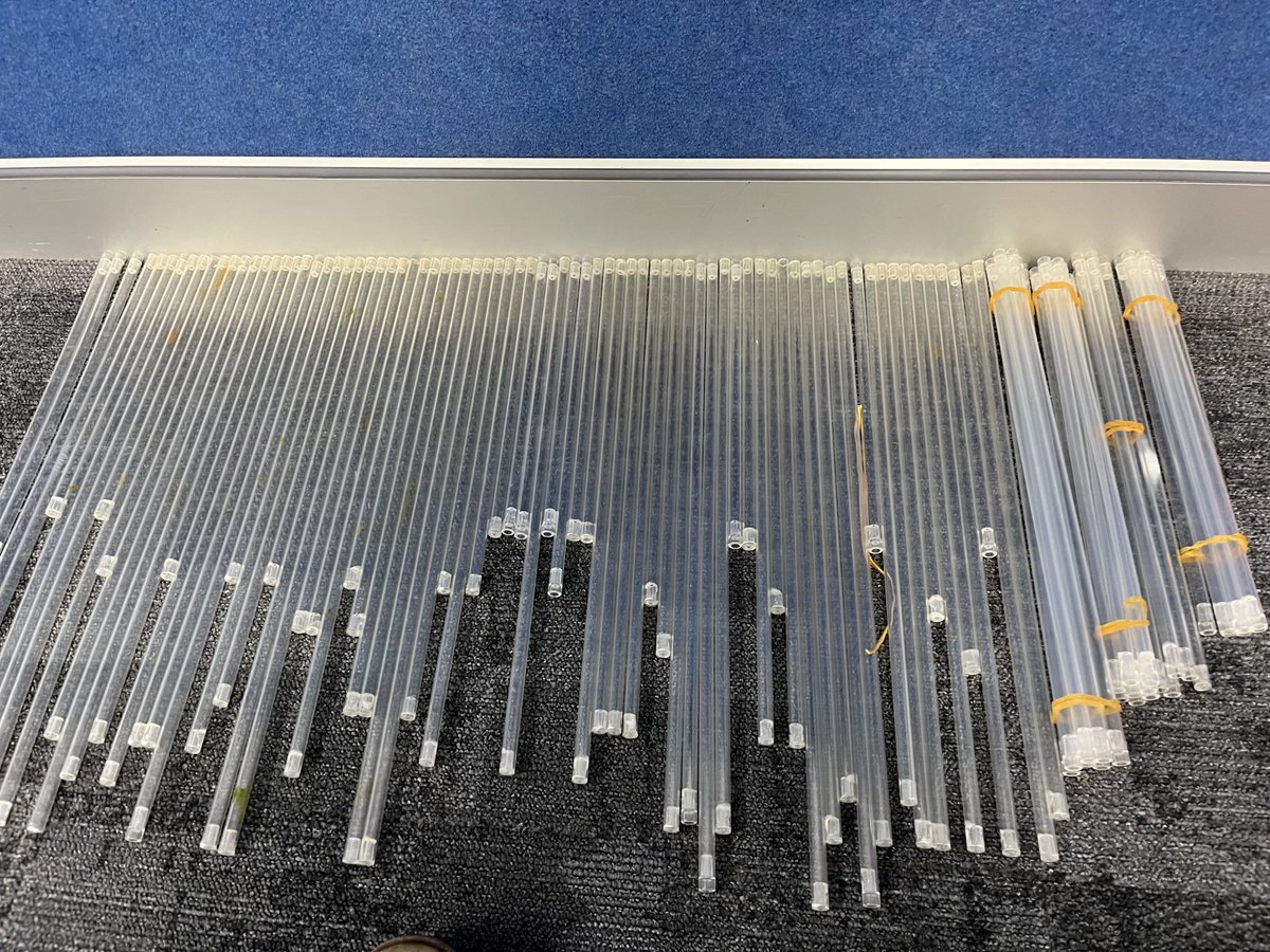 Wish I could bubble sort IRL