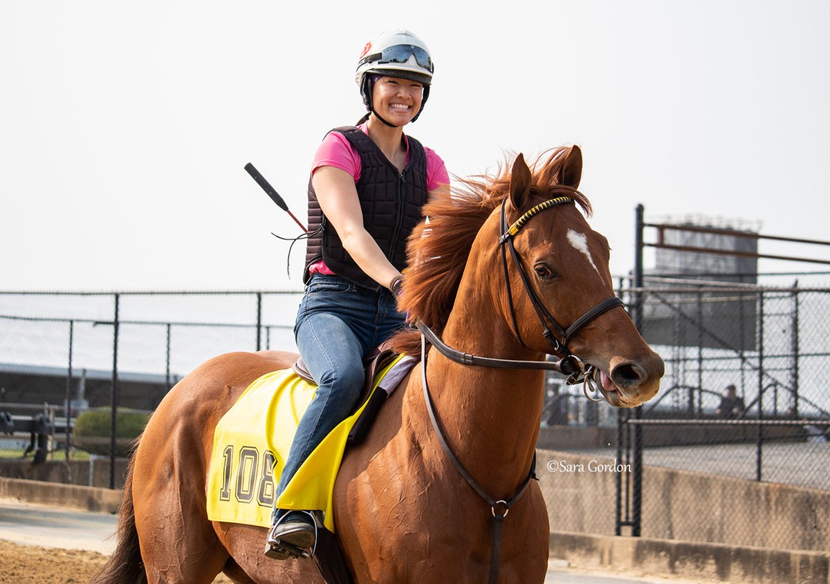 Multiple graded stakes placed NAKATOMI (Firing Line), pictured this morning at <a href="/PimlicoRC/">Pimlico</a> with local rider Erin Swope aboard, will run in Saturday's GIII Maryland Sprint Stakes on <a href="/PreaknessStakes/">Preakness Stakes</a> Day!

 The 4-year-old gelding is trained by Wesley Ward.