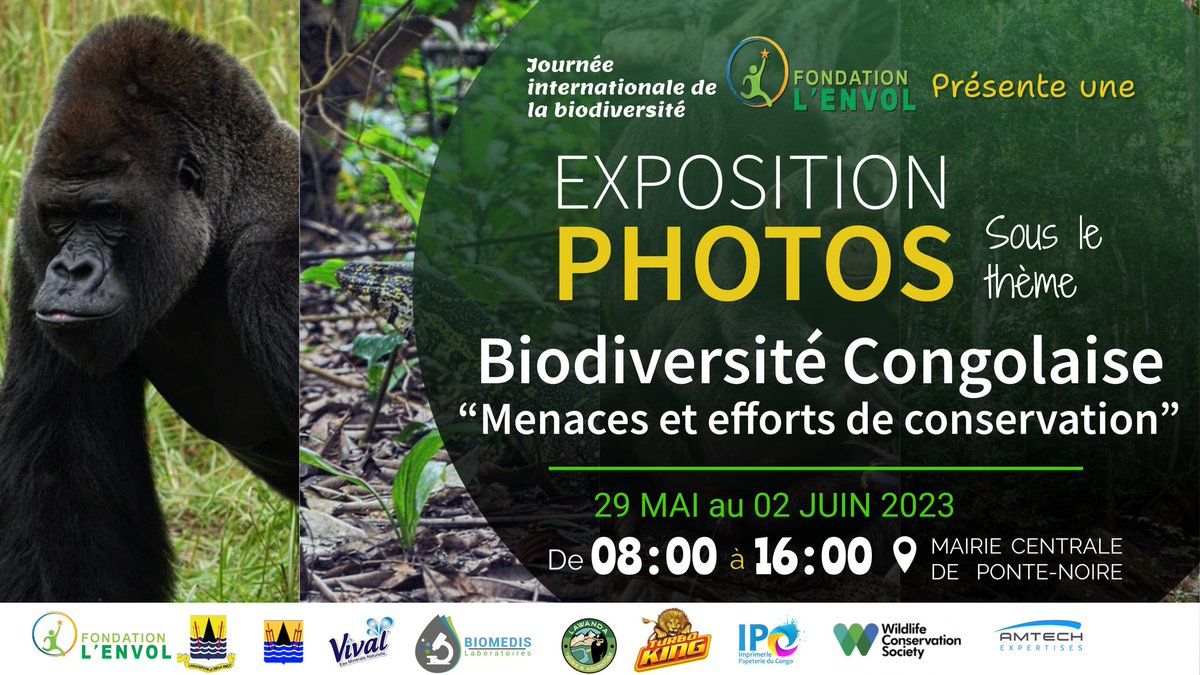 La Fondation l'Envol célèbrera la journée mondiale de la biodiversité par une exposition photos à la mairie centrale de Pointe-Noire du 29/05 au 02/06/23. @PNUDRepduCongo @MatondoRosalie1 @UNBiodiversity @WcsCongo @ASoudanNonault @Fonds_Bleu @ConnectSDGs @BrazzaFound