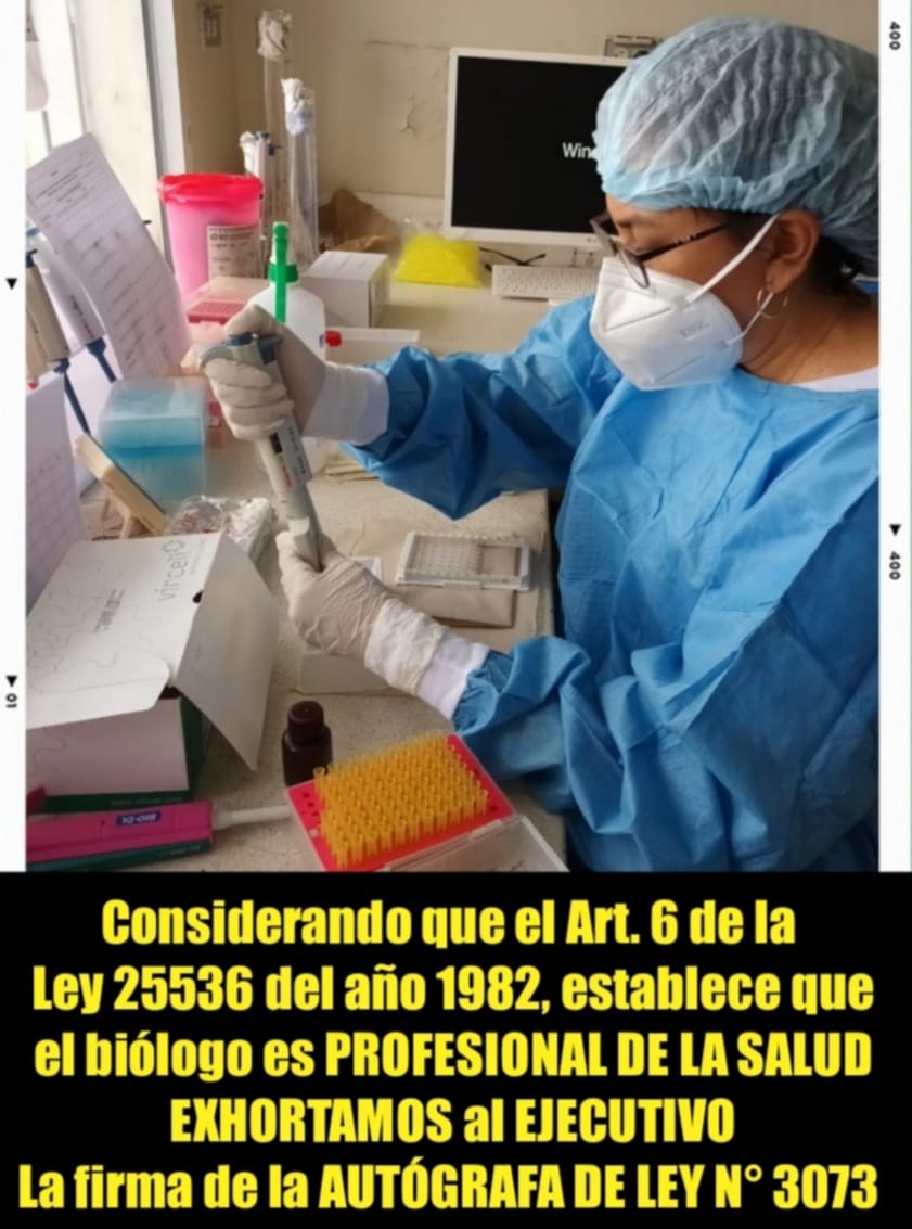 BioTwitt3r's tweet photo. 🇵🇪 En provincias como Trujillo, Ayacucho, Arequipa, Puno, Loreto el 80% de los puestos laborales del laboratorio clínico son ocupados por Biólogos. Por tanto los @Cbiologosperu consolidamos el LABORATORIO CLÍNICO EN EL PERÚ @presidenciaperu @DinaBoluarteZ @pcmperu 
#SOYBIÓLOGO 💚 https://t.co/H3gOScAeS4