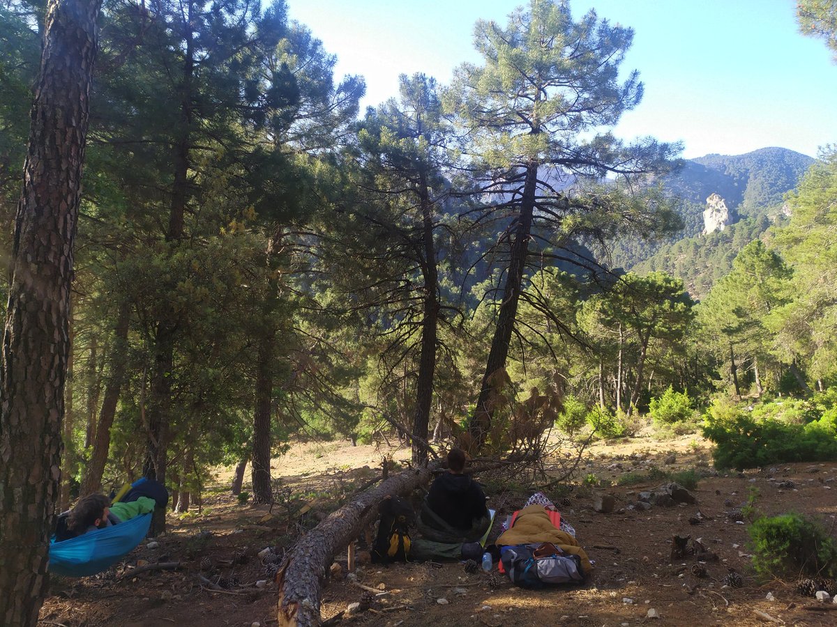 AnaSB15's tweet photo. Podría ser Colombia, Yosemite, Pirineos o cualquier otro sitio "idílico", pero no... JAÉN PARAÍSO INTERIOR🌿💛🏔️ https://t.co/9r2sg7MkRn