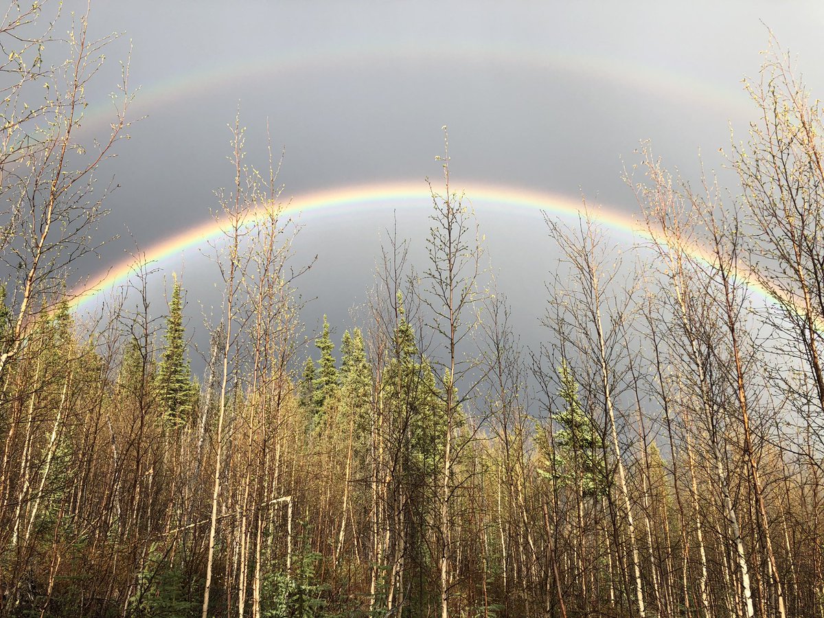 ManChurch_'s tweet image. #StandWithGod
🚹🇺🇸✝️🇮🇱🚹

You don’t need to be some super science-genius “expert” to figure out the origins of the universe in general terms.

Our God-given logic and common sense are plenty to figure out that something doesn’t come from nothing for no reason. 

#ManTalk