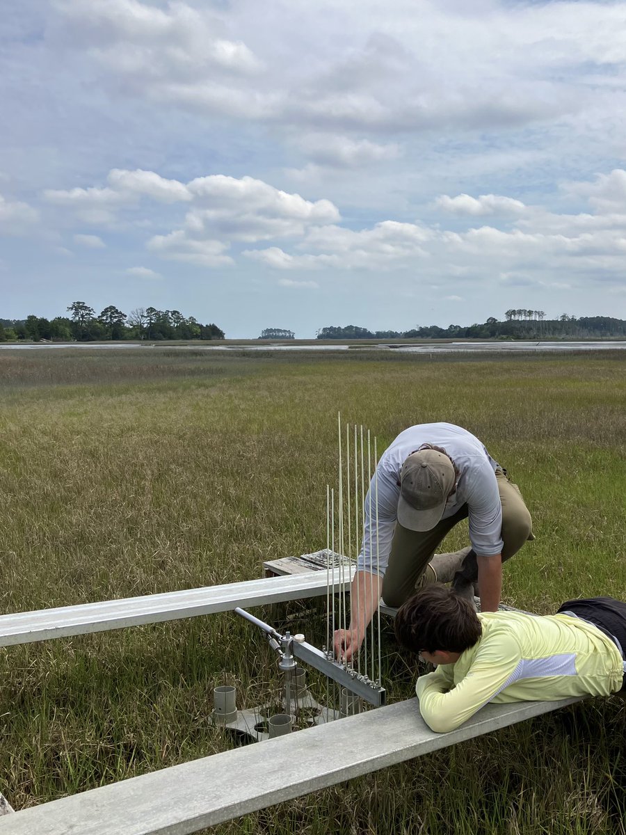 Sophia Hoffman tweet media